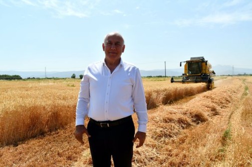 SÖKE BELEDİYESİ BUĞDAY HASADINI YAPTI