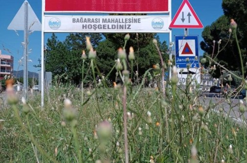 SÖKE BELEDIYESI’NIN BAYRAK HASSASİYETİ