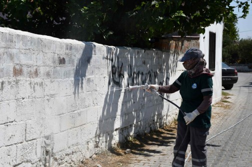 Serçin Bembeyaz Oluyor
